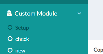 custom modules