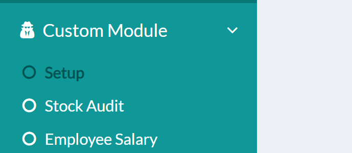 custom module setup